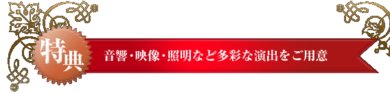 ���T�@�����E�f���E�Ɩ��ȂǑ��ʂȉ��o�����p��